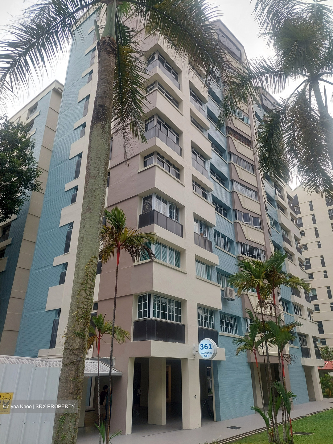 Blk 361 Woodlands Avenue 5 (Woodlands), HDB Executive #528209541